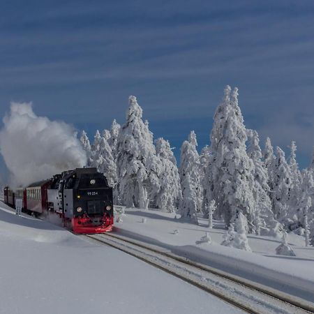Fewo Fichte Mit Balkon #Netflix #Innestadtnaehe Von Harztraveler บัดฮาร์ซบวร์ก ภายนอก รูปภาพ